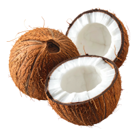 Cocco