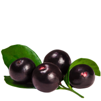 Açaí
