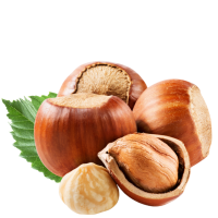 Nocciola Salata ☆