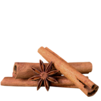 Cannella ☆