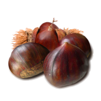 Castagna