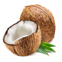 Cocco