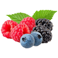 Frutti di bosco