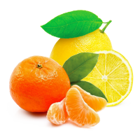 limone e mandarino