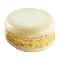 Vaniglia