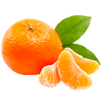 Mandarino tardivo di Ciaculli